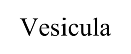 VESICULA trademark