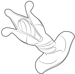 LogoMark trademark