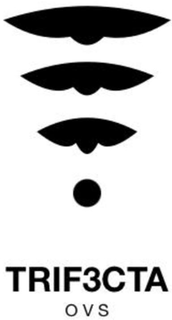 TRIF3CTA OVS trademark
