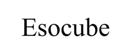 ESOCUBE trademark