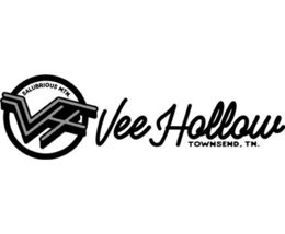 VH VEE HOLLOW SALUBRIOUS MTN. TOWNSEND, TN. trademark