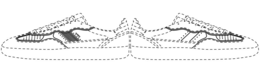 ALOHAS ALOHAS trademark