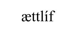 ÆTTLÍF trademark