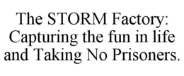 THE STORM FACTORY: CAPTURING THE FUN IN LIFE AND TAKING NO PRISONERS. trademark