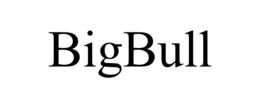 BIGBULL trademark