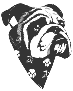 YC YC trademark