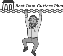 BEST DAM GUTTERS PLUS trademark
