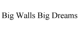BIG WALLS BIG DREAMS trademark