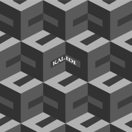 KALIDI trademark