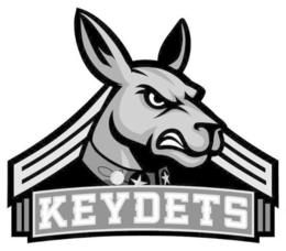 KEYDETS trademark