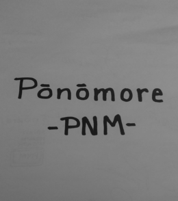 PONOMORE -PNM- trademark