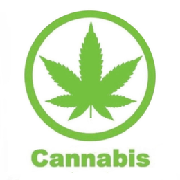 CANNABIS trademark