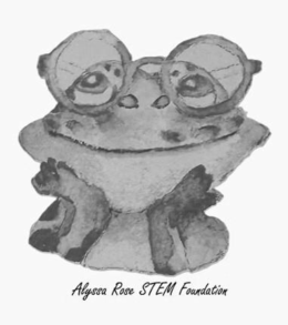 ALYSSA ROSE STEM FOUNDATION trademark