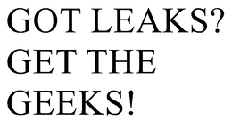 GOT LEAKS? GET THE GEEKS! trademark