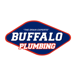 "THE DRAIN EXPERTS" BUFFALO PLUMBING trademark