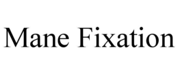 MANE FIXATION trademark