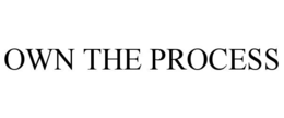 OWN THE PROCESS trademark