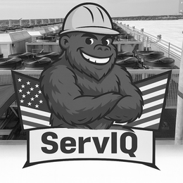 SERVIQ trademark