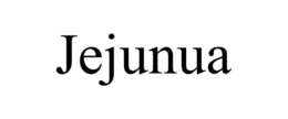JEJUNUA trademark