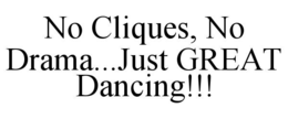 NO CLIQUES, NO DRAMA...JUST GREAT DANCING!!! trademark