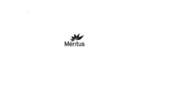 MERITUS trademark