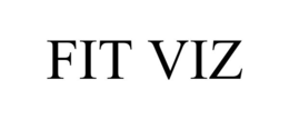 FIT VIZ trademark