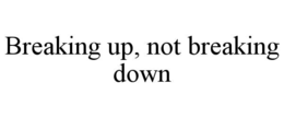 BREAKING UP, NOT BREAKING DOWN trademark