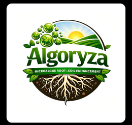 ALGORYZA MICROALGAE ROOT & SOIL ENHANCEMENT trademark