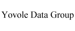YOVOLE DATA GROUP trademark