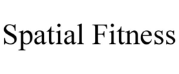 SPATIAL FITNESS trademark