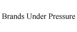BRANDS UNDER PRESSURE trademark
