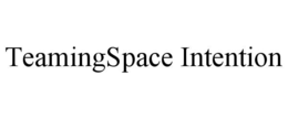 TEAMINGSPACE INTENTION trademark