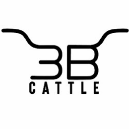 3B CATTLE trademark