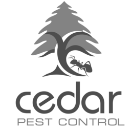 CEDAR PEST CONTROL trademark
