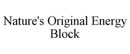 NATURE'S ORIGINAL ENERGY BLOCK trademark