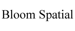 BLOOM SPATIAL trademark