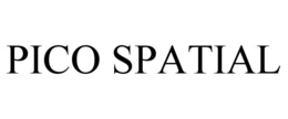PICO SPATIAL trademark