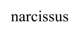 NARCISSUS trademark