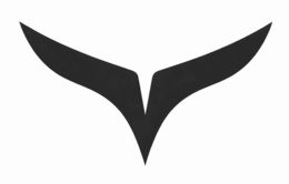 Y trademark