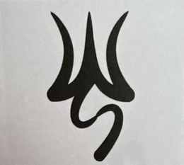 WS trademark