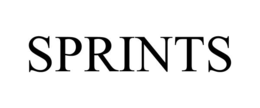 SPRINTS trademark