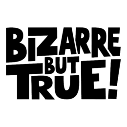 BIZARRE BUT TRUE! trademark