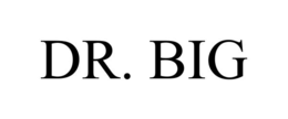 DR. BIG trademark