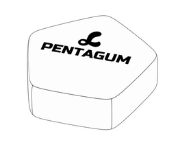 L PENTAGUM trademark