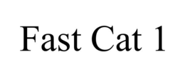 FAST CAT 1 trademark