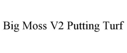 BIG MOSS V2 PUTTING TURF trademark