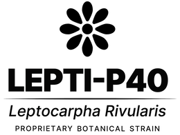 LEPTI-P40 LEPTOCARPHA RIVULARIS PROPRIETARY BOTANICAL STRAIN trademark