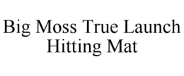 BIG MOSS TRUE LAUNCH HITTING MAT trademark
