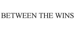 BETWEEN THE WINS trademark