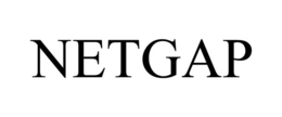 NETGAP trademark